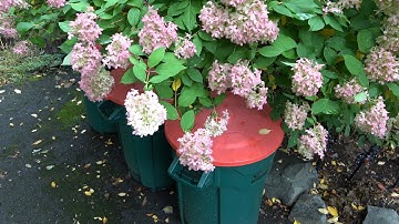 LIFE HACK : Garbage Can Tips (Cheaper Cans, No Lost Lids, & Better Service)