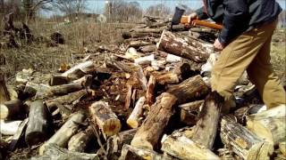 Axe-aroon Mod Field Test..... Rooster