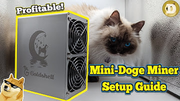 Goldshell Mini Doge Miner Setup Guide (Mine Doge Coin + Litecoin)