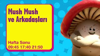 Mush Mush ve Arkadaşları | Hafta Sonu 17.40 | Boomerang TV Türkiye