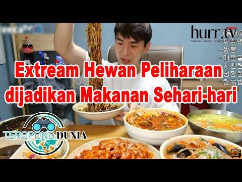 Video: Alahan Haiwan Peliharaan Terhadap Makanan - Bahagian 1: Gambaran Keseluruhan Alahan