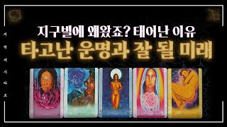 [타로] 지구별에 왜 왔나요?당신이 타고난 운명과 잘 될 미래를 보여드려요‍