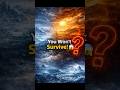 You Won’t Survive! 😱