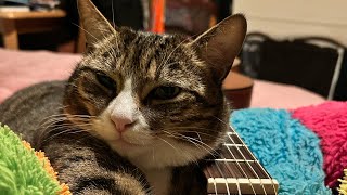 Watch Mount Eerie With My Hands Out video