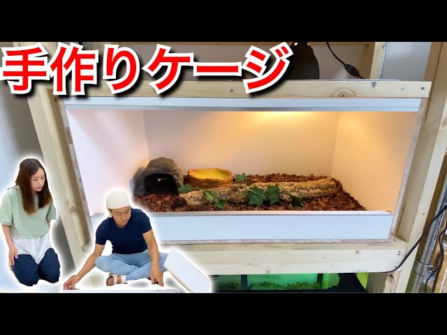 自作爬虫類ケージお得なセット！ 爬虫類ケージ セット 自作