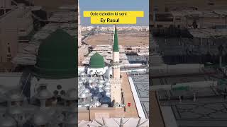 öyle özledim ki seni ey Rasul ♥️🌹❤️ #shorts #kabe #dinivideolar #islam #ilahi #zikir #ravza #allah