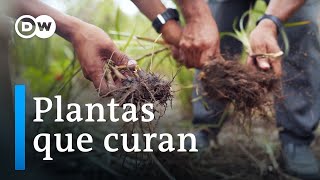 Medicina ancestral y complementaria en Perú screenshot 3