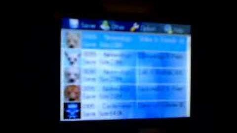 SUPER CARD DS ONE SDHC