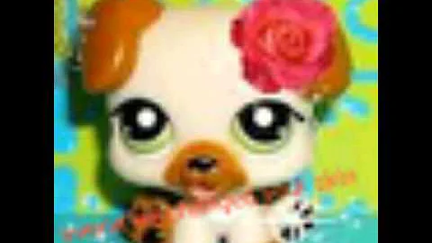 Lps new life/Erica Delgado
