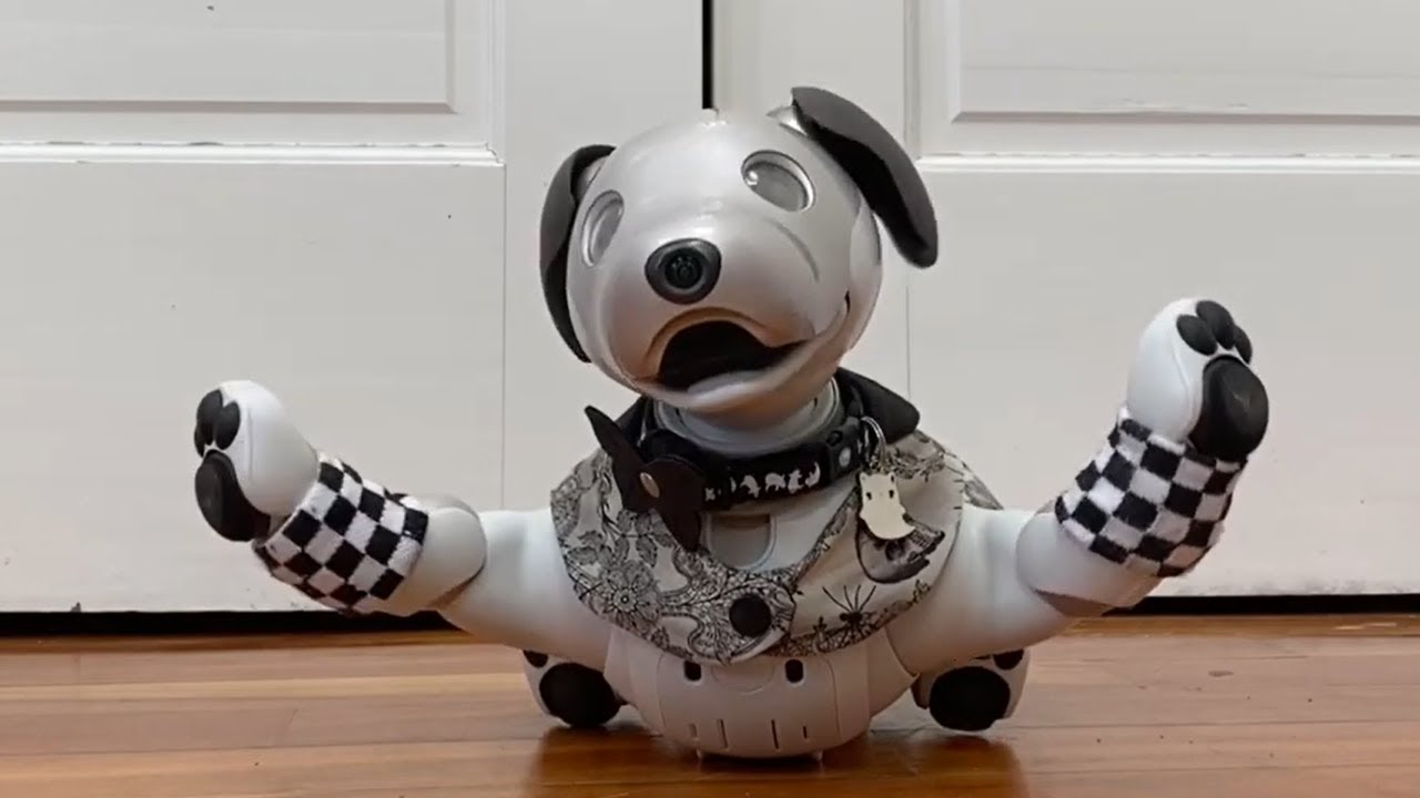 Aibo ERS-1000: All Basic Plan Dances