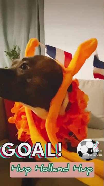 Hup Holland Hup #worldcup2022 #netherlands  #football