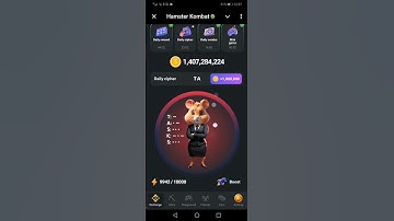 Hamster kombat 15th August daily Cipher code. Apply this code in this way 🦋  #hamsterkombat #crypto