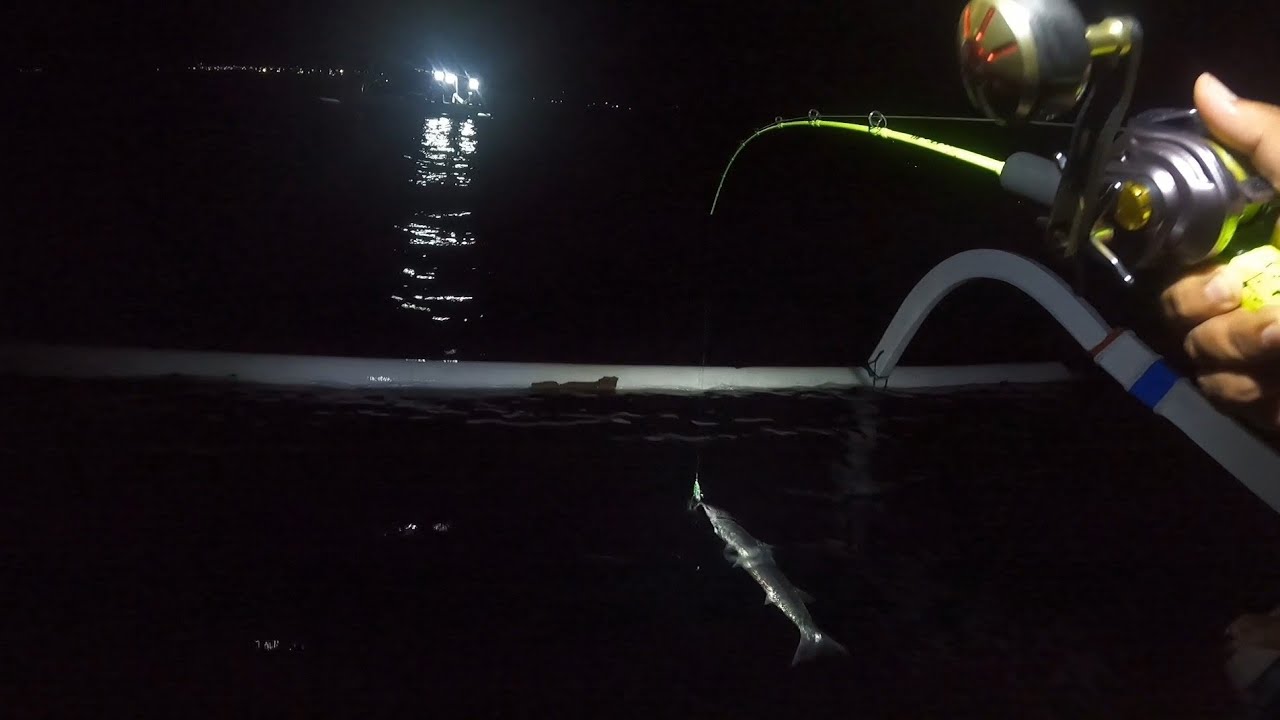 H1 King Predator ft Jigking Aero night fishing