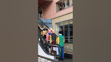 FINDING DRAGONBALLドラゴンボールを探せDB芸人ナッパ芸人ぴっかり高木NAPPAシネマンガテレビたろちゃん組チャオズ餃子TEAM近藤ドドリア天津飯山田ライトニング #ドラゴンボール