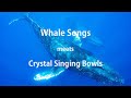 Whale Song meets Crystal Bowls