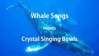 Whale Song meets Crystal Bowls