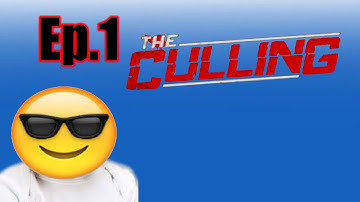 BEST SURVIVAL GAME EVER ! - The Culling #1