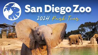 San Diego Zoo Guide - Top Tips, Shows & Exhibits 🦁 by Voyager 20,322 views 5 months ago 21 minutes