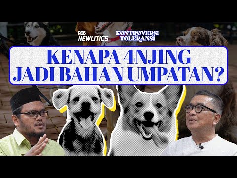 Video: Semua Tentang Anjing Anjing: Kenapa Anjing Saya Melontarkan?