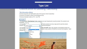 PDF Accessibility: Lists
