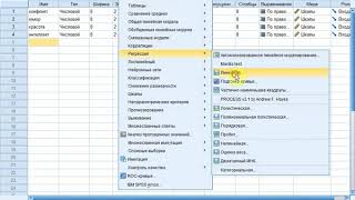 :   SPSS:        .