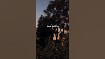 سورة الشورى #quran #foryou