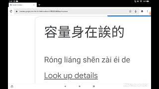 Putting Chinese Characters Into Google Translate... 😳