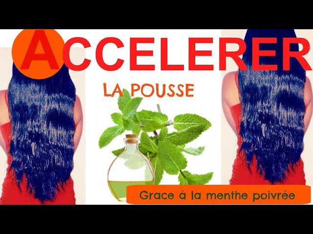 Huile essentielle de menthe poivrée pour les cheveux : bienfaits