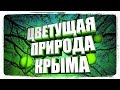 Цветущая Природа Крыма