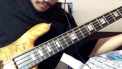 Polyphia - Goose bass cover
