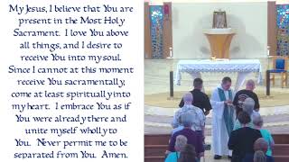 The Fifteenth Week  in Ordinary Time (07/16/26)