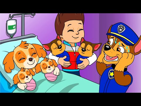 OMG Skye Is Giving Birth with Triplets | PAW Patrol Funny Animation | Rainbow 3