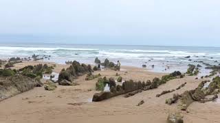 Playa de Barrika