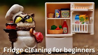 Simple way to clean fridge | Tips for fridge cleaning| Fridge Cleaning ideas for beginners