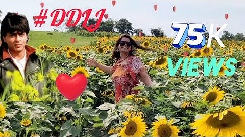 Tujhe Dekha Toh Yeh Jaana  #DDLJ #sunflower#usaindians #desi #viral #tujhe #ytshorts #trending#srk