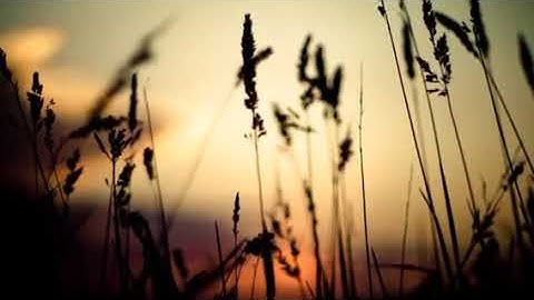 سورة (ق)الشيخ عبدالعزيز الشهراني صوت عجيب ماشاء الله ارح سمعك