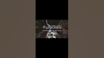 نٓۚ وَٱلۡقَلَمِ وَمَا يَسۡطُرُونَ - عبد العزيز العسيري سورة القلم