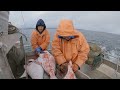 Last halibut trip of the season 2023 alaska halibut season