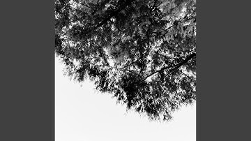 This period is reached