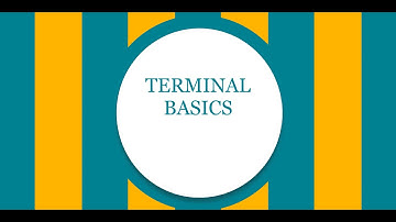 03 - Terminal Basics | Python tutorial for Beginners | Telugu