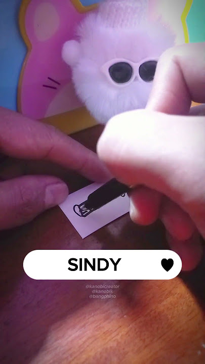 Write SINDY |P115