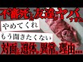 【2ch怖いスレ】実際に起きた異常すぎる友達の...