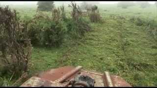 Invasoras exóticas - Control del Tojo