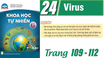 Khoa học tự nhiên lớp 6 chân trời sáng tạo bài 24 |Virus