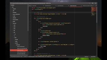 Sublime Text: современный текстовый редактор программиста
