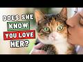 6 Signs Your Cat KNOWS You Love Them