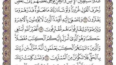 سورة الأنعام الشيخ ياسر الدوسري صفحة ١٤٢