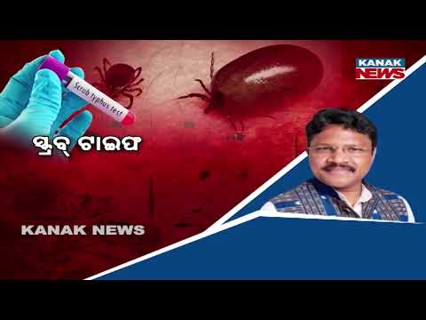 Scrub Typhus in Angul | Three Deaths Reported in Pallahara Area