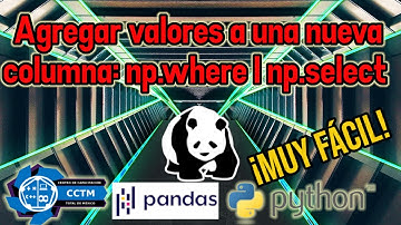 🐼 ¿Cómo hacer una nueva columna y asignar valores de forma condicional? | Pandas | Python