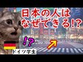 【海外の反応】日本の“当たり前”にドイツ高校生が絶句…その理由とは？猫ミームで紹介。